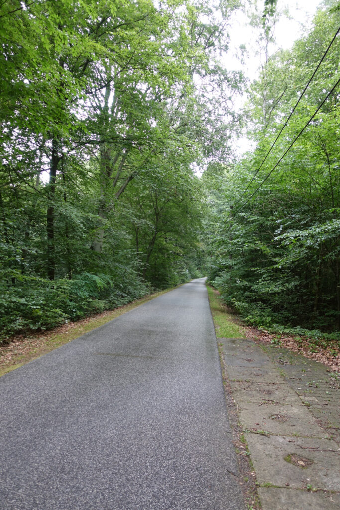 Radweg durch den Wald