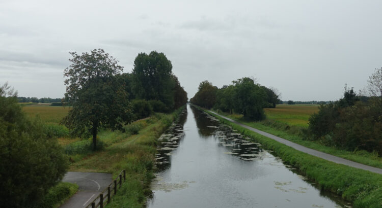 Rhein-Rhone-Kanal, rechts und links Bäume, Sträucher und Felder. Der Himmel ist bewölkt