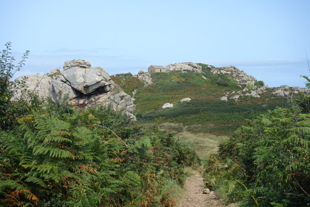 Im Vordergrund grünes Gebüsch und kleine Felsen. Im Hintergrund ein mit Heidegewächsen überwucherter Fels vor blauem Himmel.