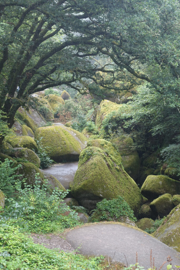 Von Moos überwachsene Gesteinsbrocken im Wald von Huelgoat.