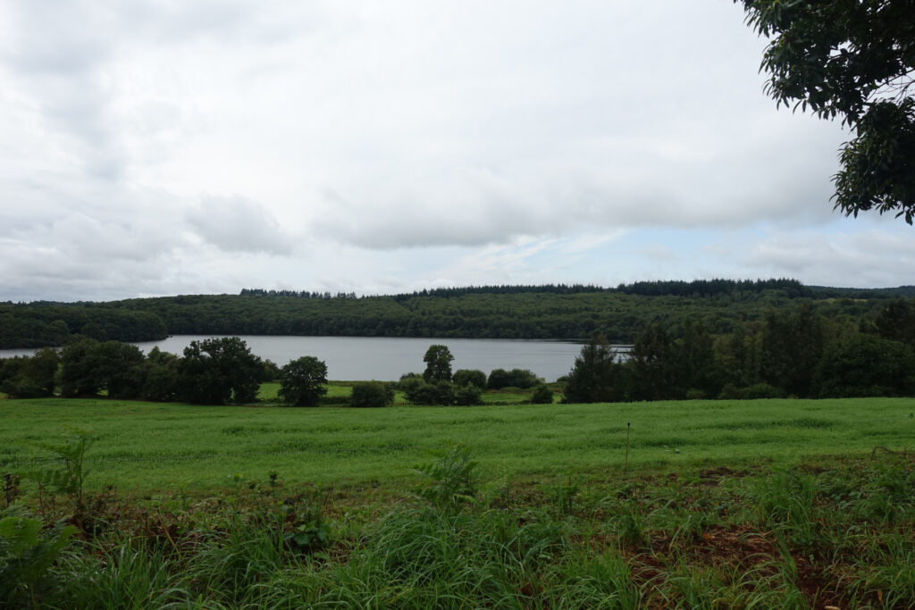 Zwischen Bäumen zeigt sich ein Teil des Lac de Guerlédan.