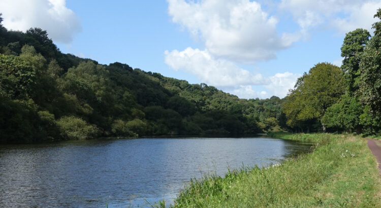 Kanal gesäumt von Wald auf der linken Seite und dem Veloweg auf der rechten Seite