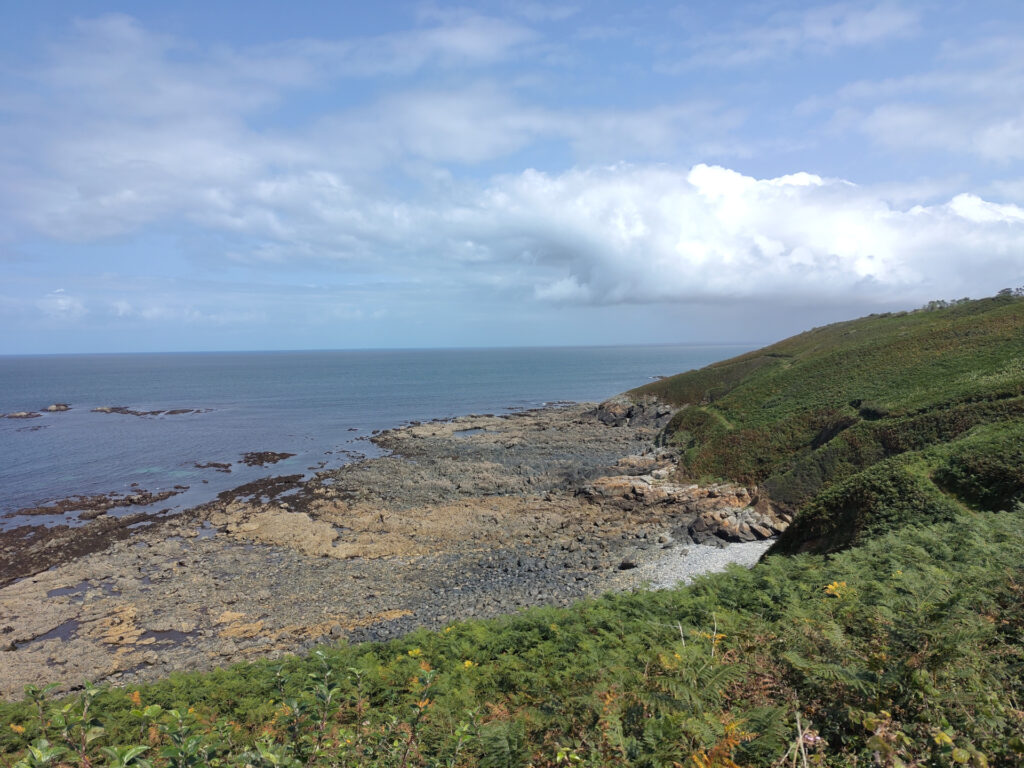 Blick aufs Meer. Felsiger Strand mit Heidegewächsen in der Bucht. 