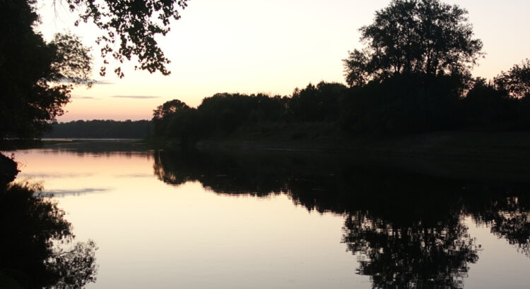 Abendstimmung an der Loire. Die Silhouetten der Bäume am anderen Ufer spiegeln sich an der Wasseroberfläche.