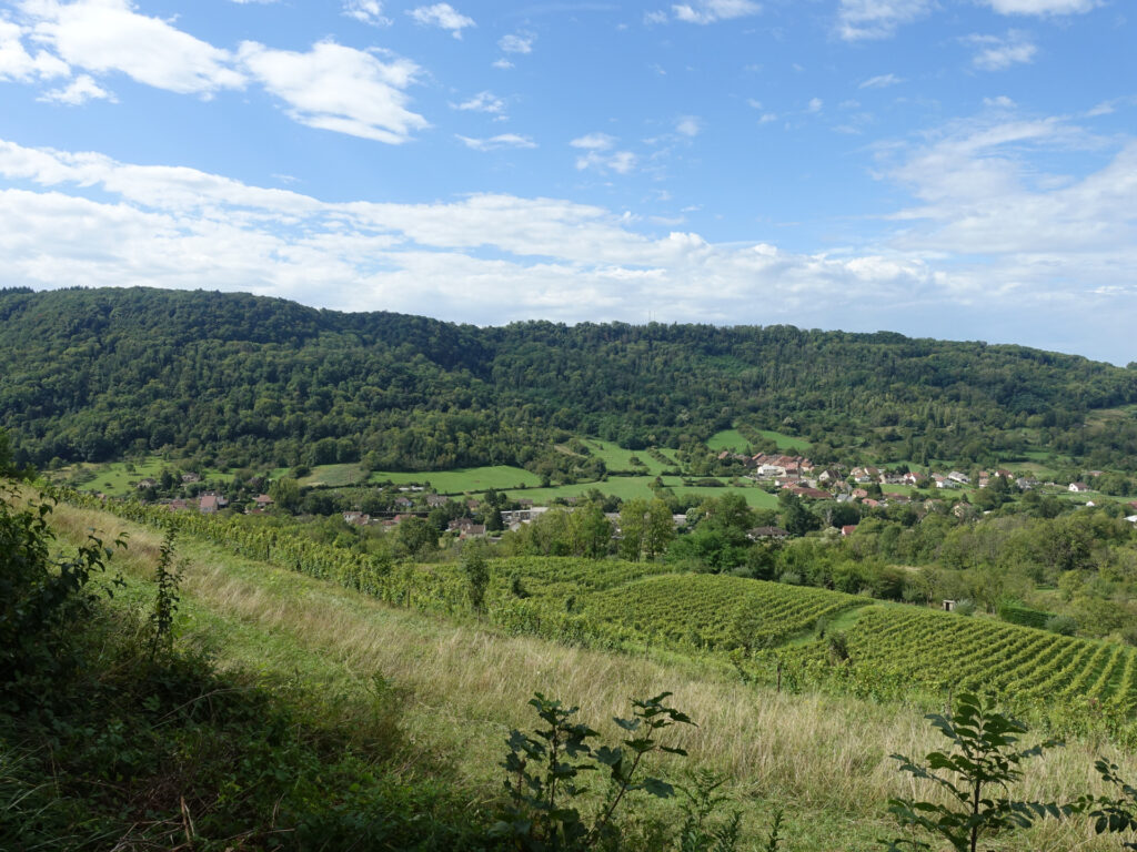 Landschaftsbild mit Weinbergen, sanften Hügeln und kleinen Ortschaften im Vordergrund. Im Hintergrund höhere Hügelzüge des Jura, blauer Himmel mit kleinen weissen Wolken.