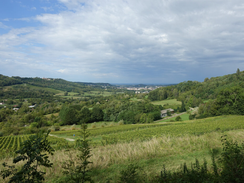 Landschaftsbild mit Weinbergen, sanften Hügeln und kleinen Ortschaften im Vordergrund. Im Hintergrund ist die Stadt Lons-le-Saunier erkennbar.