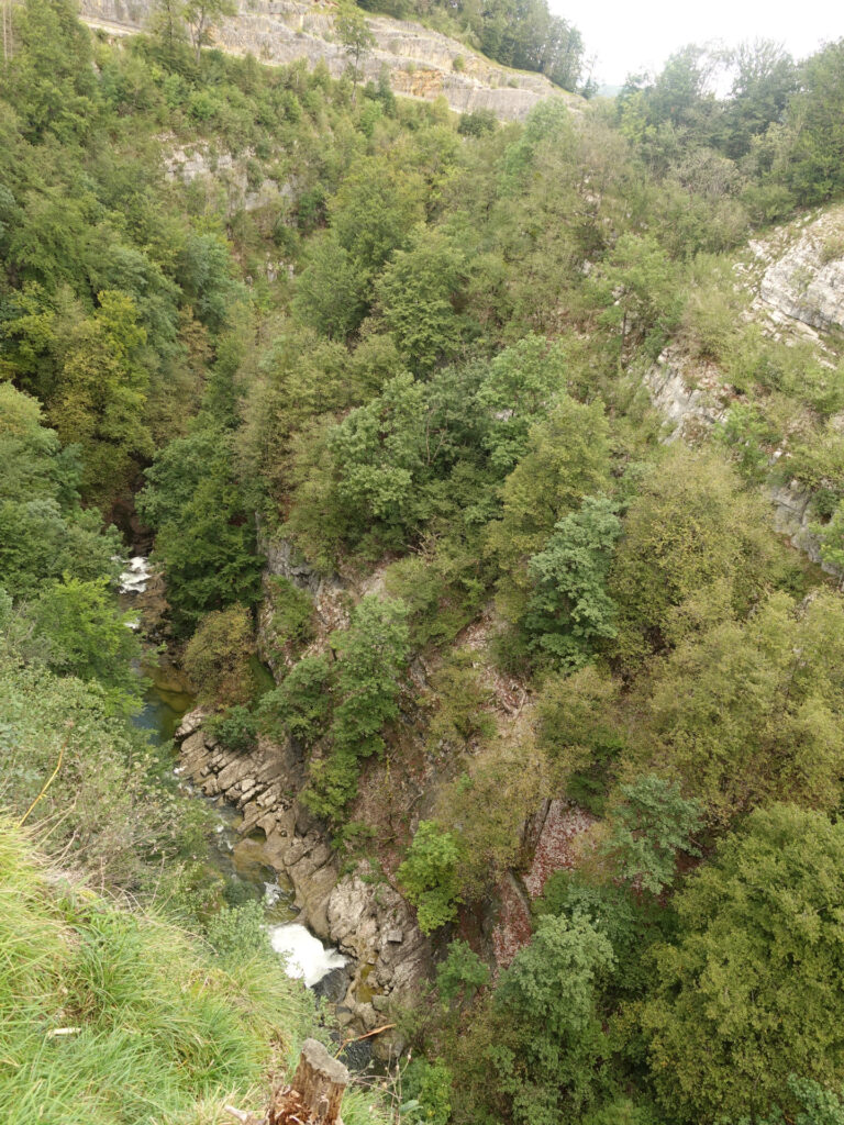 Blick in eine tiefe Schlucht. Die Felsen der Schlucht sind von Bäumen und Sträuchern bewachsen. In der Tiefe ist das schäumende Wasser der Saine erkennbar.