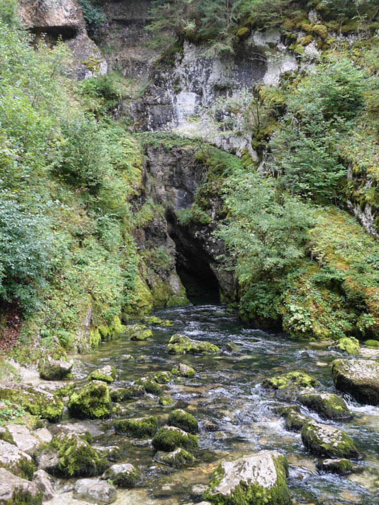 Der Fluss Doubs fliesst aus einem Höhleneingang ans Tageslicht. Der Höhleneingang ist im Hintergrund erkennbar. Die Felsen um den Höhleneingang sind mit Moos und Pflanzen überdeckt.