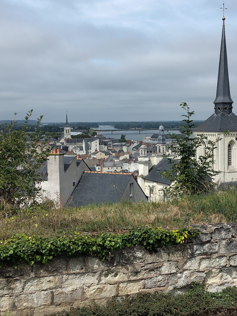 Im Vordergrund eine mit Pflanzen überwachsene Steinmauer. Im Hintergrund sind die Häuser der Altstadt von Saumur zu sehen.