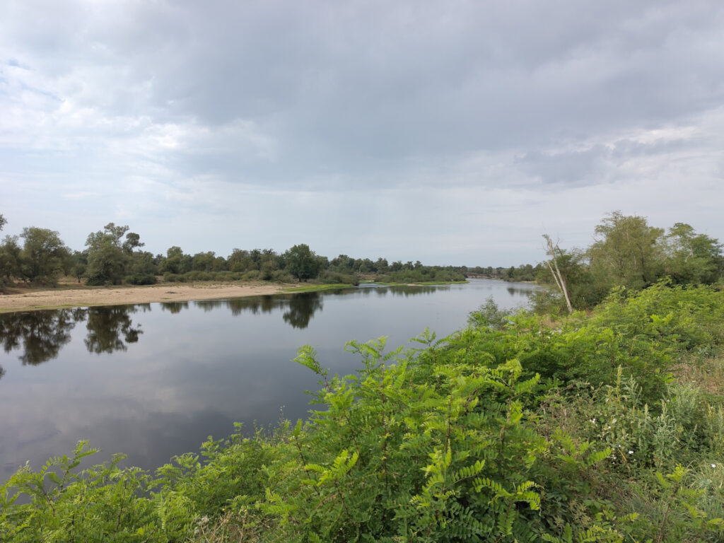 Flusslauf der Loire. Im Vordergrund sind niedrige Büsche zu sehen. In der Bildmitte der Fluss, in dessen Wasser sich der Himmel und die Bäume vom anderen Flussufer spiegeln. Das andere Flussufer ist sandig und weniger grün.