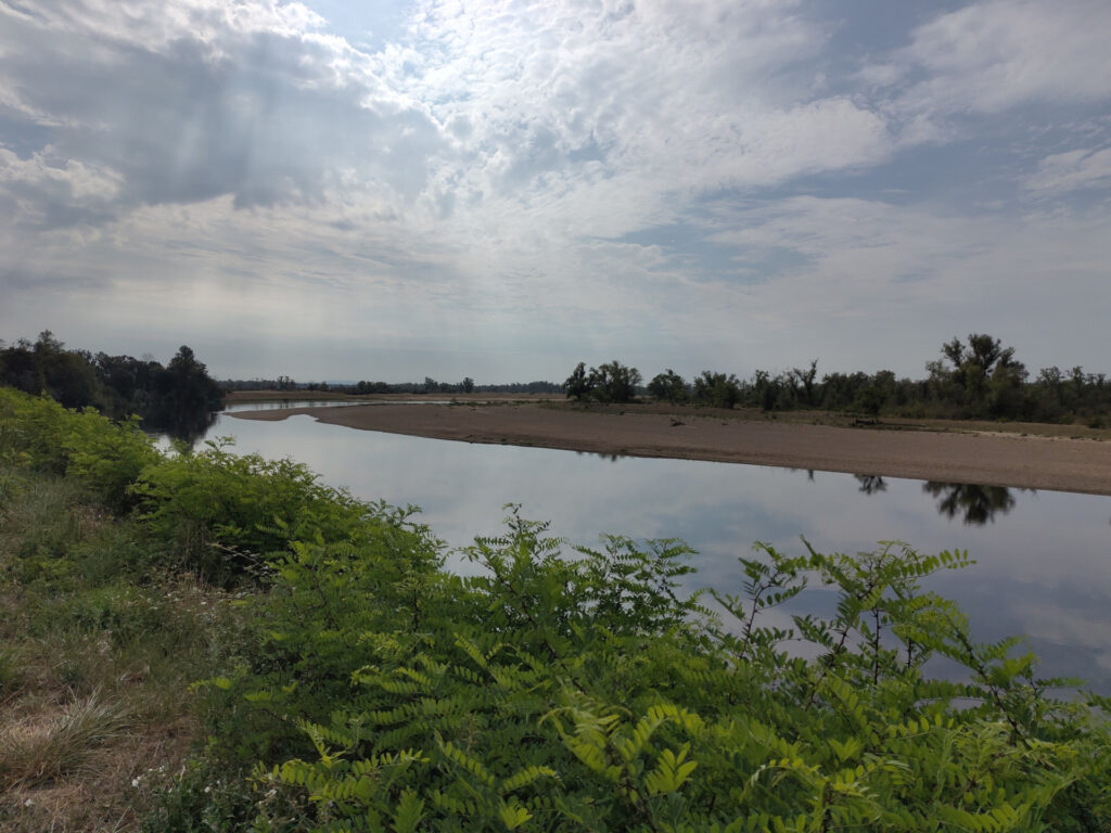 Flusslauf der Loire. Im Vordergrund sind niedrige Büsche zu sehen. In der Bildmitte der Fluss, in dessen Wasser sich der Himmel spiegeln. Das andere Flussufer ist sandig und weniger grün.