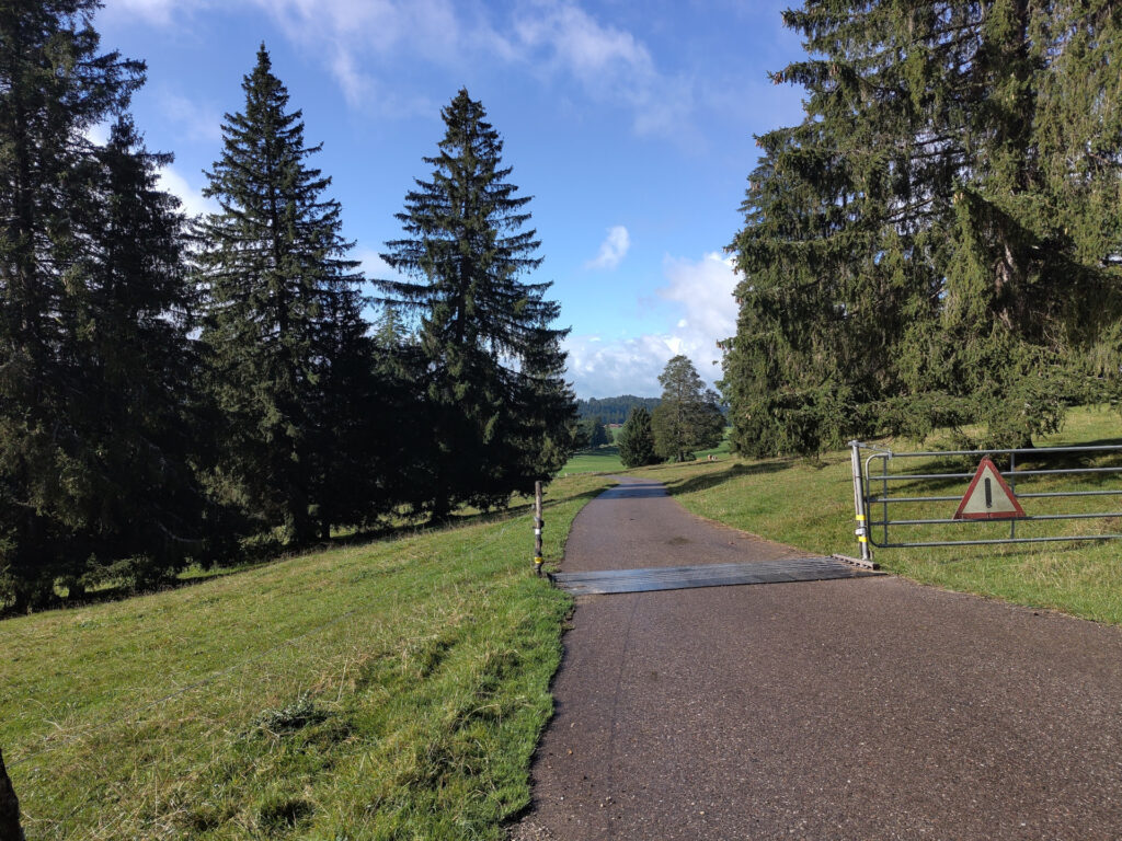 Schmale Strasse, die über eine Viehbarriere geführt wird. Links und rechts der Strasse Wiese und Bäume. Im Hintergrund blauer Himmel mit weissen Wolken.