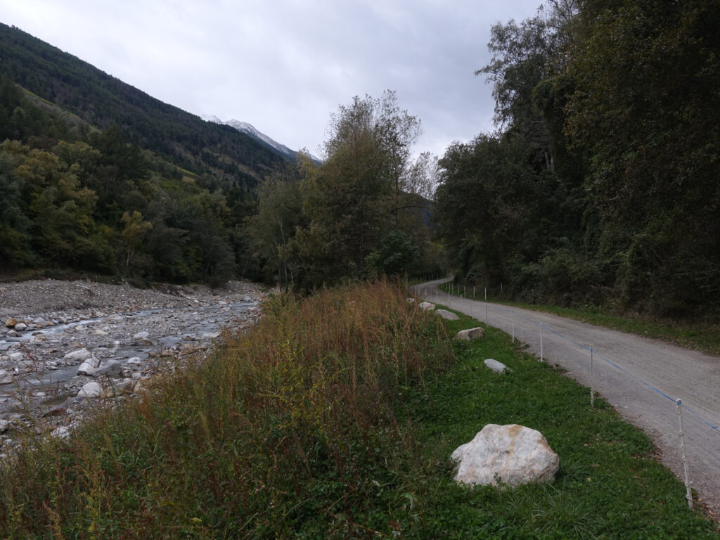 Natürlicher Flusslauf. Am Ufer hat es Wiese und Bäume. Auf der rechten Bildseite ist eine Naturstrasse erkennbar. Auf der Linken die ansteigenden Flanken der Berge.