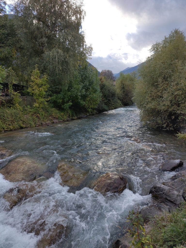 Fluss Etsch im natürlichen Flussbett umgeben von Laubbäumen.