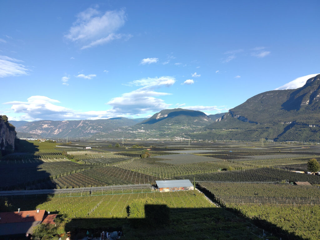 Ausblick von der Kellereigenossenschaft Kurtatsch oberhalb des Ortes Breitbach über das Etschtal noch Nordosten. Der Talboden ist besteht aus Weinplantagen.