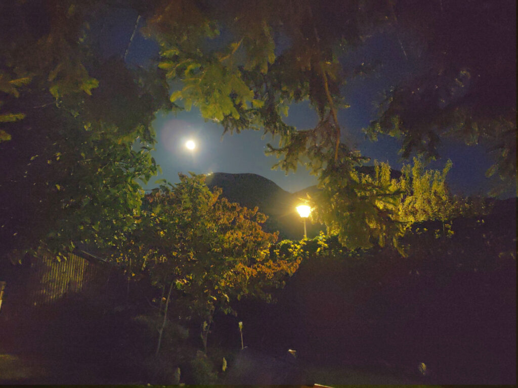 Nachaufnahme. Der Vollmond geht auf über einem Bergkamm. Durch die Belichtung sind die Blätter der umliegenden Laubbäume erkennbar.